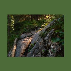 2012-08-09_01Fischunkel-Alm_Wasseralm (407).JPG